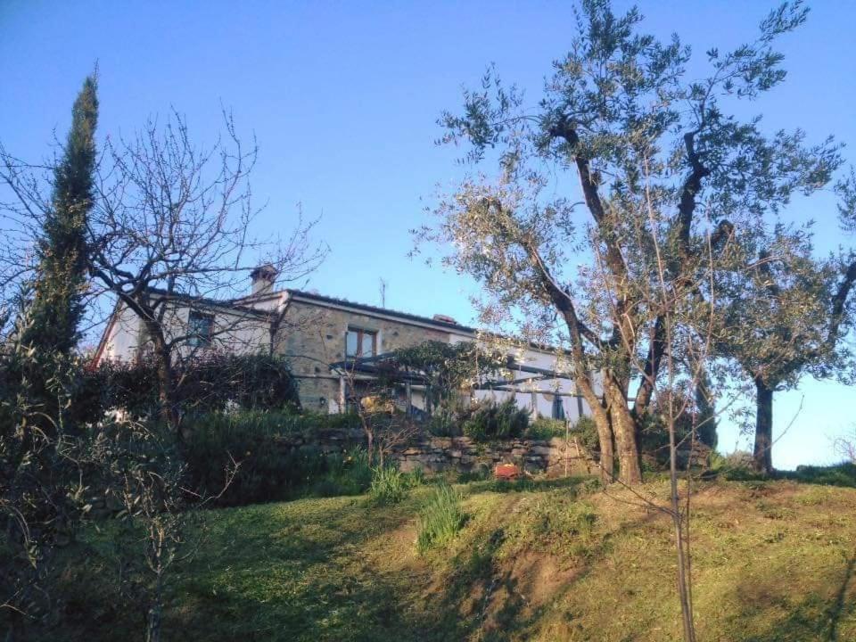 Agriturismo Menghino Nievole Zewnętrze zdjęcie